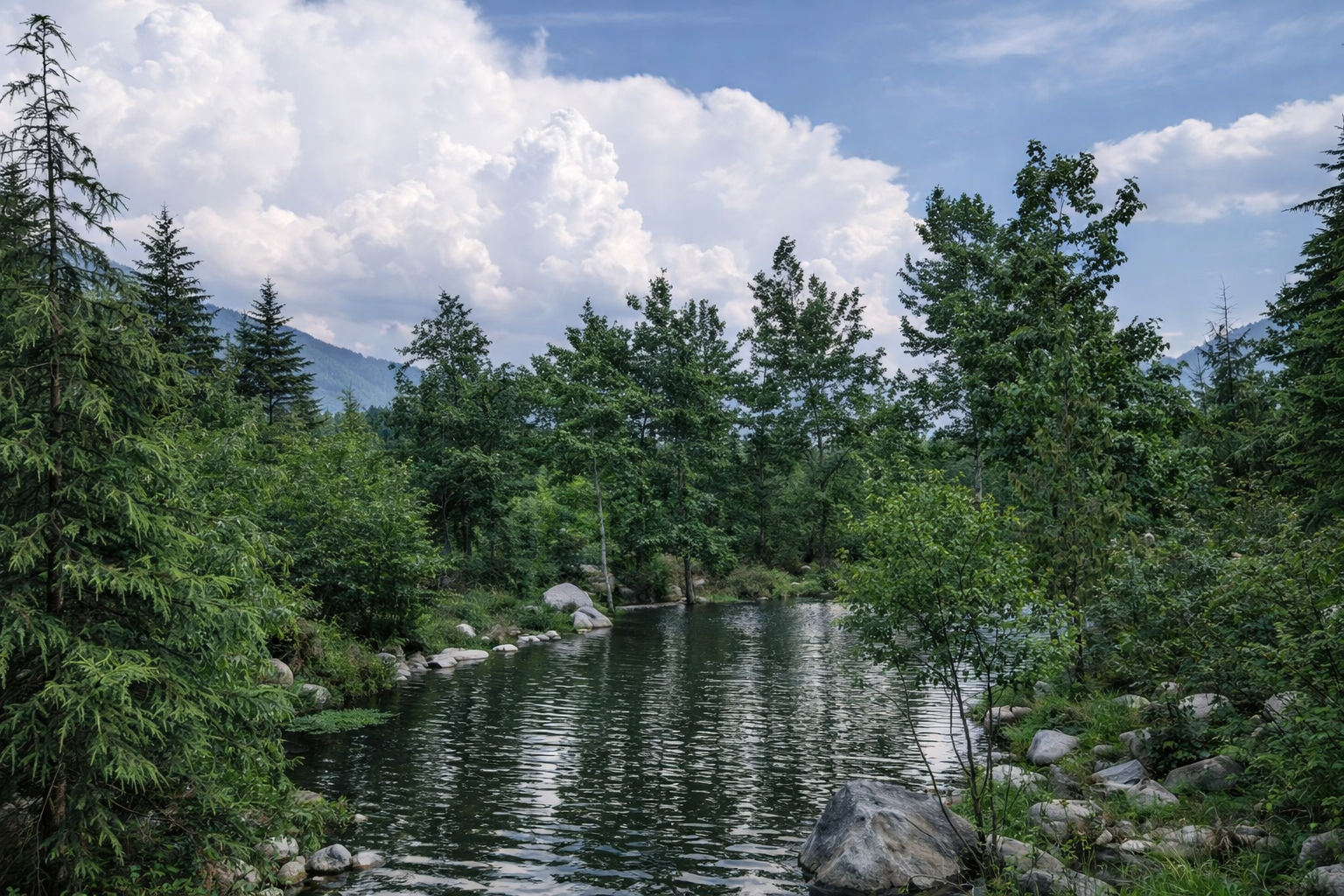 Production landscape 6